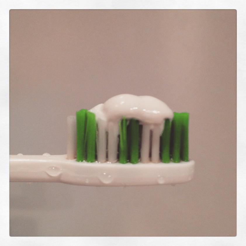 12107492_1498421873818114_1330467435_n