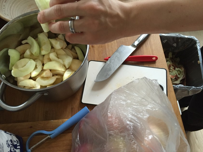 Herr Rabe schnippelt Äpfel fürs Apfelmus. Die guten norwegischen. Sind ordentlich sauer, ich finde sie köstlich. Das Kind auch. Klaut dauernd Äpfel aus dem Topf.