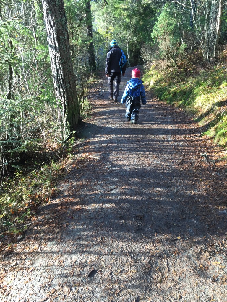 Spaziergang um den See. Der Regen hat dann doch noch aufgehört. Es riecht nach nassem Wald und Herbst. 