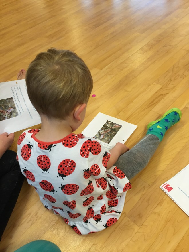 Das Wochenende fing mit Kindertanzen an, das Tanzen fängt immer mit Singen an. Das Kind studiert schon mal den Text. Ganz links im Bild: die Füße von Kumpel E., der sehr neidisch das schicke Kleid des Kindes anschielte und dann seiner Mutter das Versprechen abrang, dass er das nächste mal auch ein Kid anziehen darf.