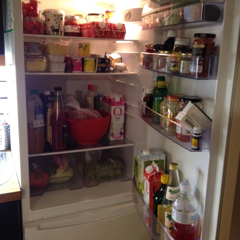Kühlschrank Abends nach dem Einkauf