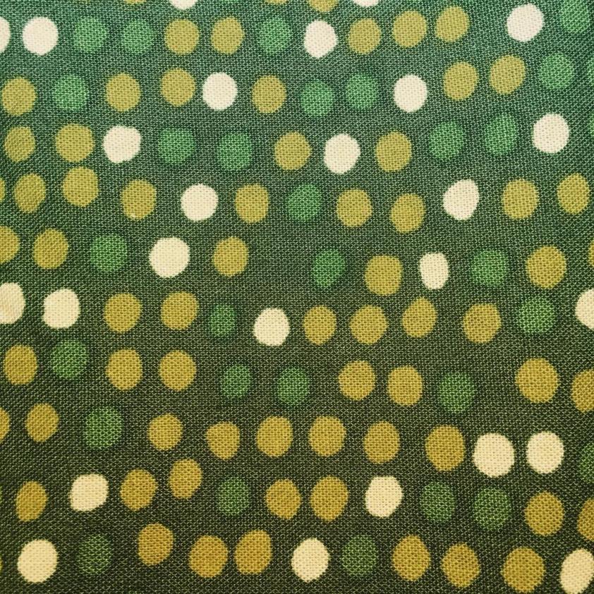 12627976_1676989855922546_719296113_n