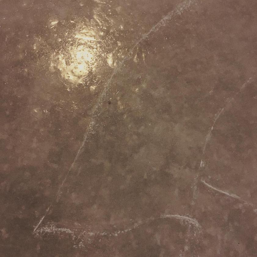 12748362_442529575943277_821296183_n