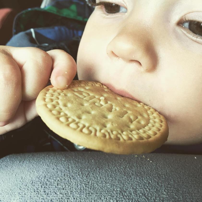 13642976_1799685033599916_1830412218_n