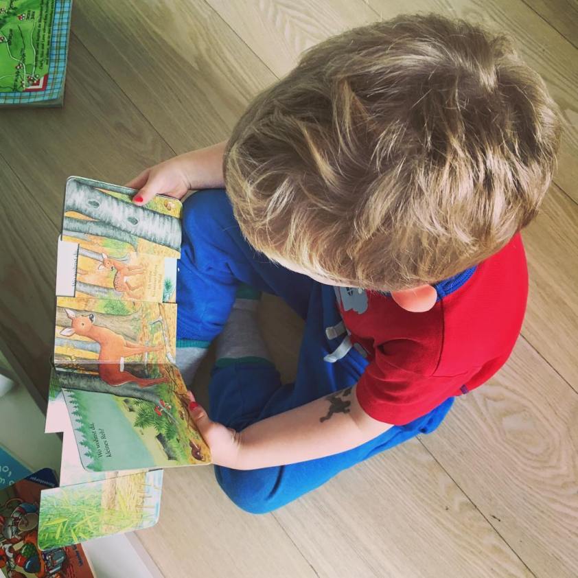 13658766_982083648571379_2005027371_n