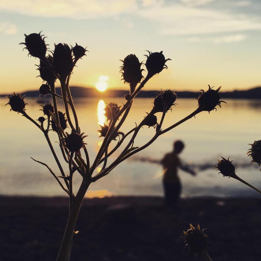 13725714_538316236363902_1718644377_n