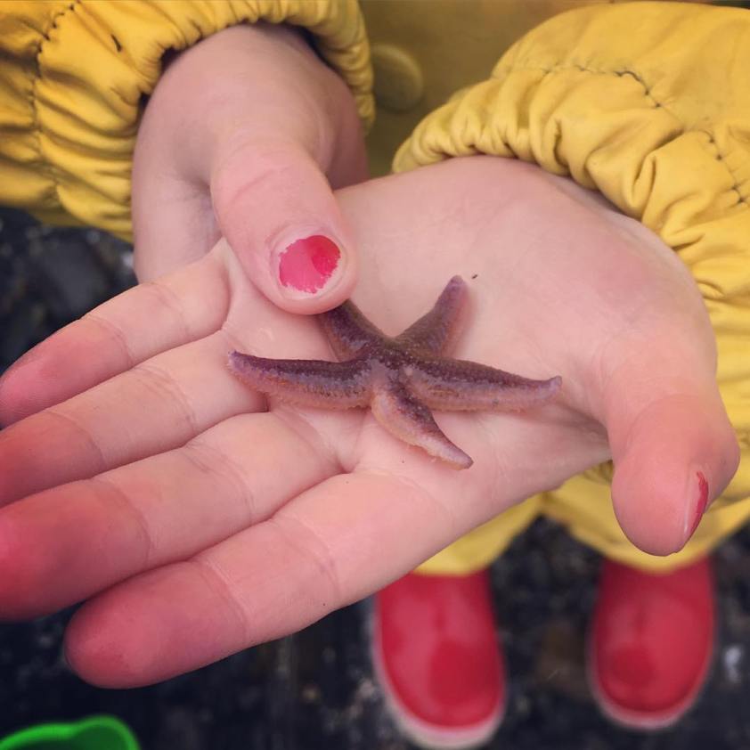 13743128_170432876702831_419882456_n